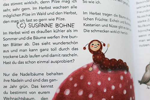 Lerngeschichten mit Wilma Wochenwurm Teil 2 Herbst Winter Pilze_Hallo liebe Wolke_Susanne Bohne_Kinderbuch Kopie