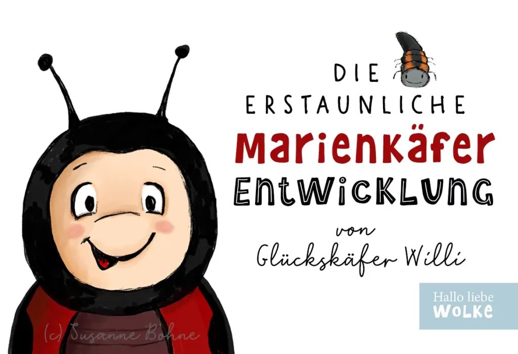 Marienkäfer Entwicklung Verwandlung Metamorphose von der Larve zum Marienkäfer Willi Wilma Wochenwurm