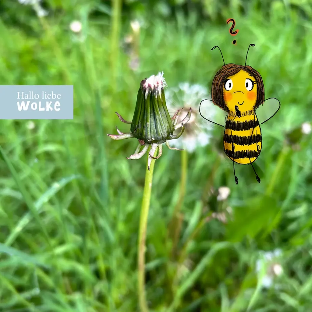 Projekt Löwenzahn Kindergarten Pusteblume Kita Belinda Biene Pusteblume Kita Vom Löwenzahn zur Pusteblume