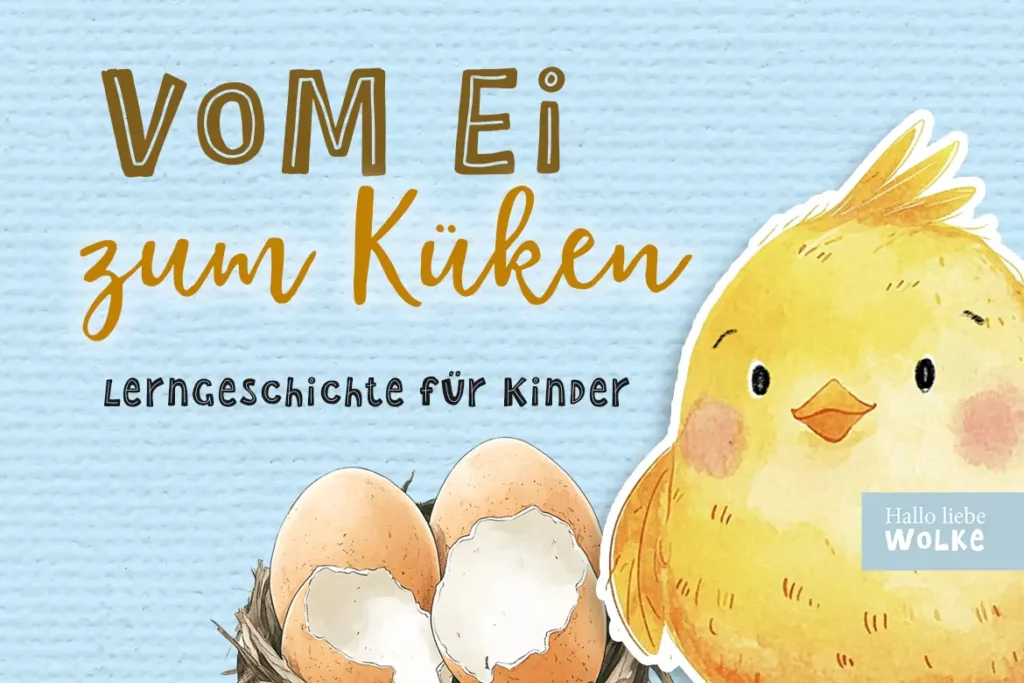 Vom Ei zum Küken - Projekt vom Ei zum Küken - Entwicklung vom Ei zum Küken - vom Ei zum Küken Kindergarten Wilma Wochenwurm