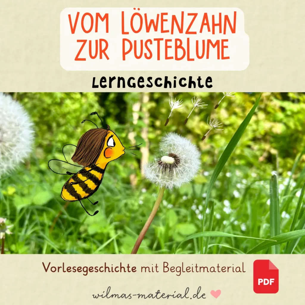 Vom Löwenzahn zur Pusteblume von Wilmas Material Lerngeschichte