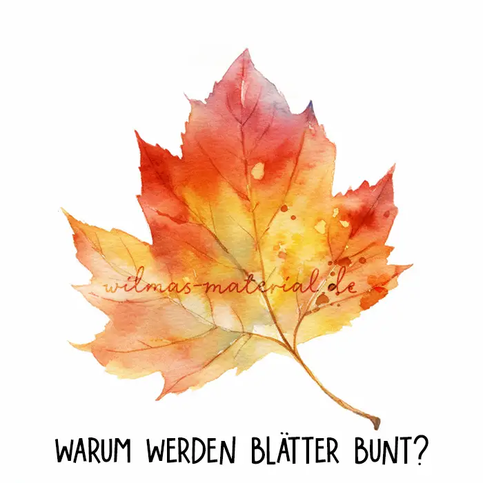 Warum werden Blätter im Herbst bunt? Schneckelinchen erklärt Wilma Wochenwurm Hallo liebe Wolke